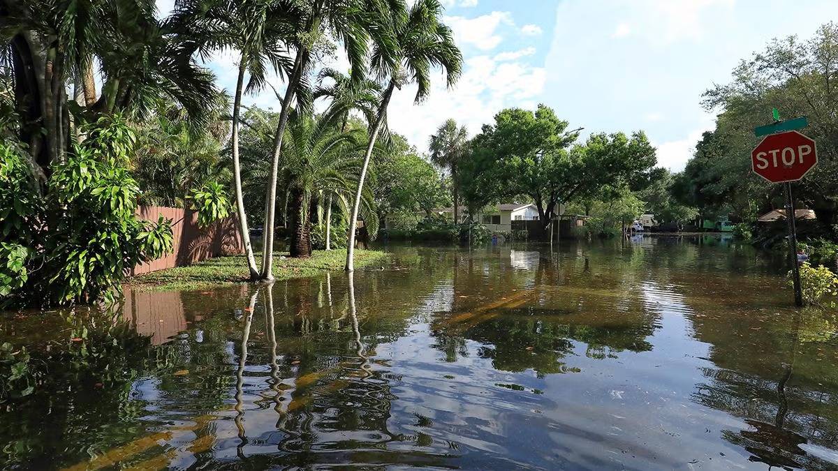 "Twenty five inches of rain in 24 hours floods local Fort Lauderdale neighborhood streets. (Jillian Cain for AdobeStock)"