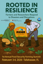 Food systems resilience summit flyer