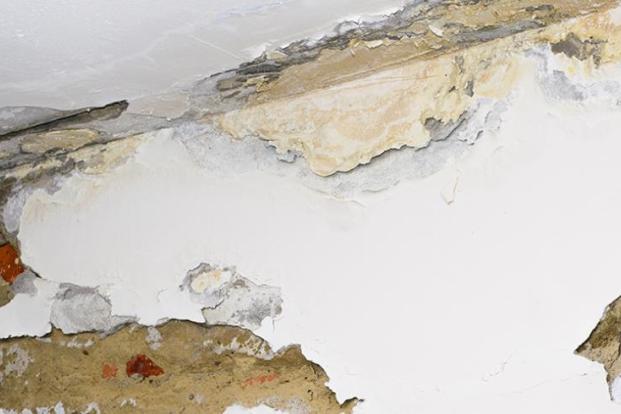 Mold on the wall